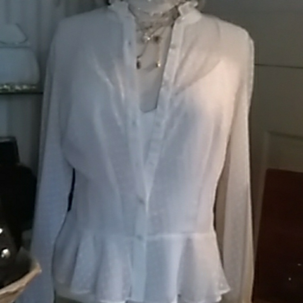 Ann Taylor sheer button down blouse